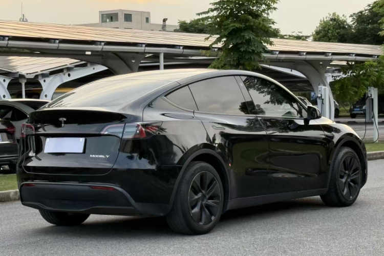 Tesla Model Y 2023 #7 Tesla Model Y 2023 car image #7