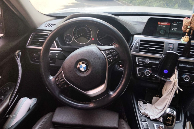 BMW 3 Series 2017 car image #12