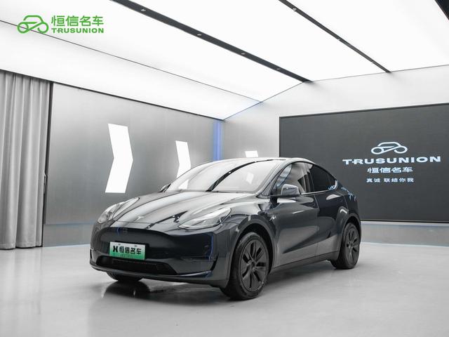 Tesla Model Y 2024 #22 Tesla Model Y 2024 car image #22