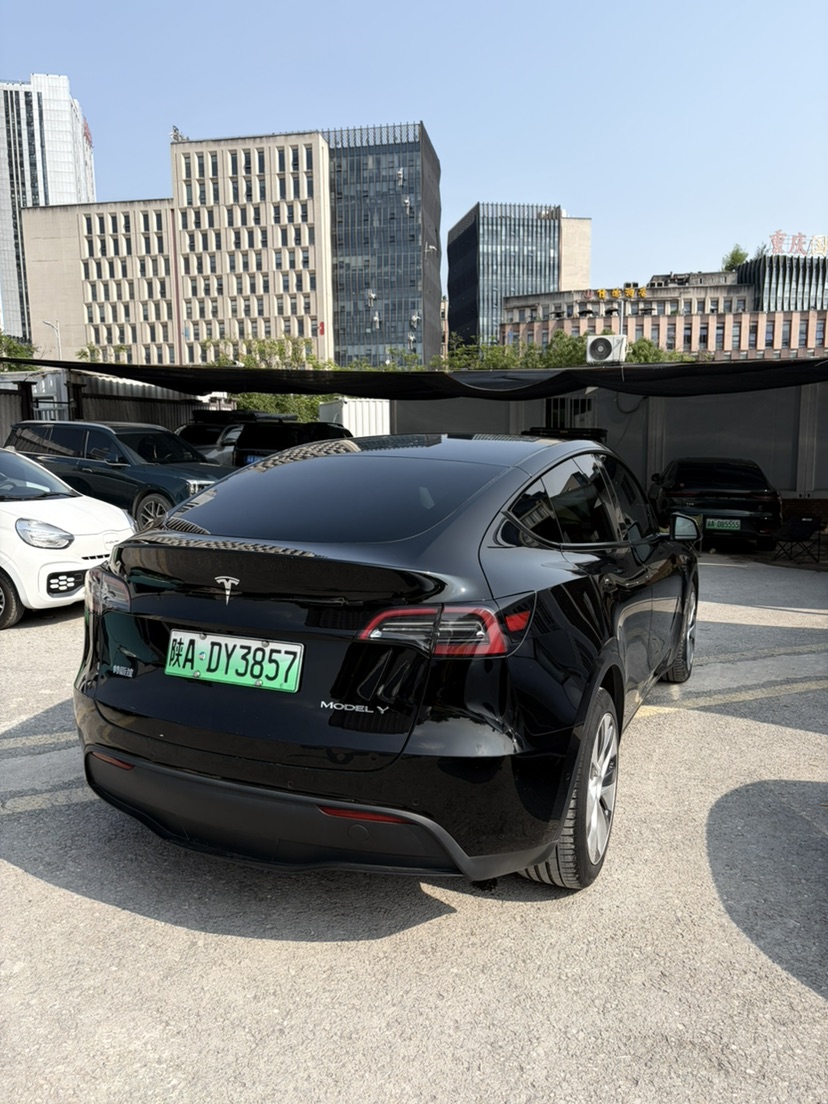 Tesla Model Y 2022 #7 Tesla Model Y 2022 car image #7