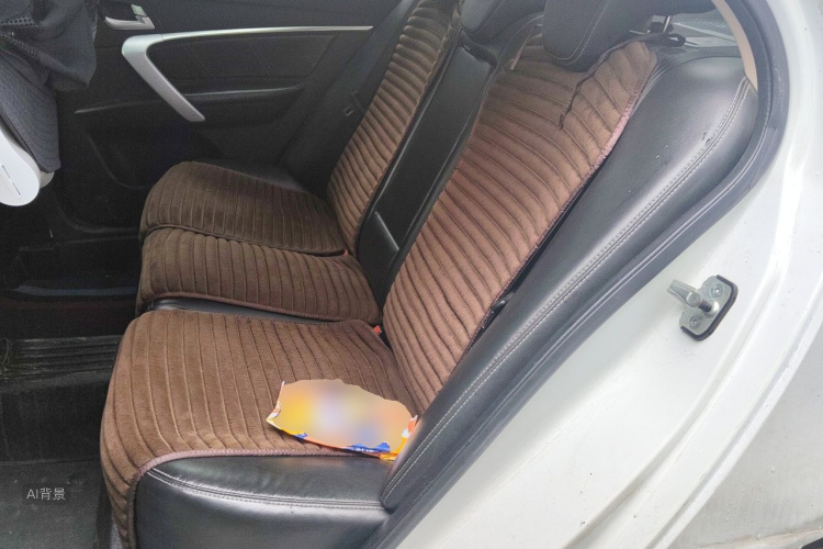 GEELY Emgrand 2017 car image #19