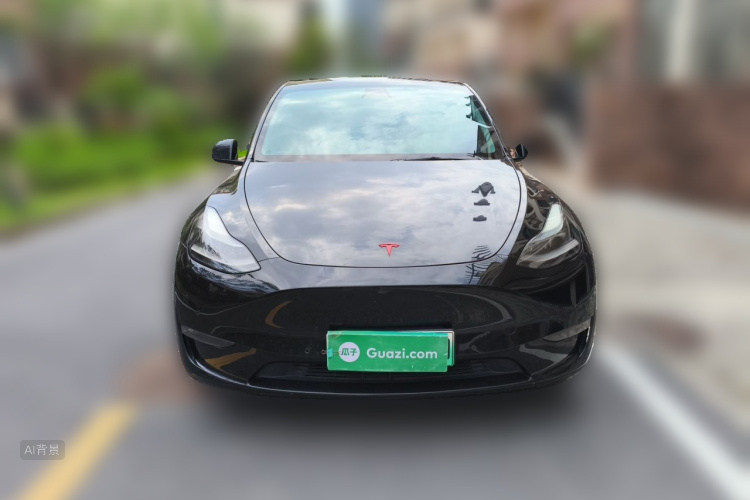 Tesla Model Y 2021 car image #3