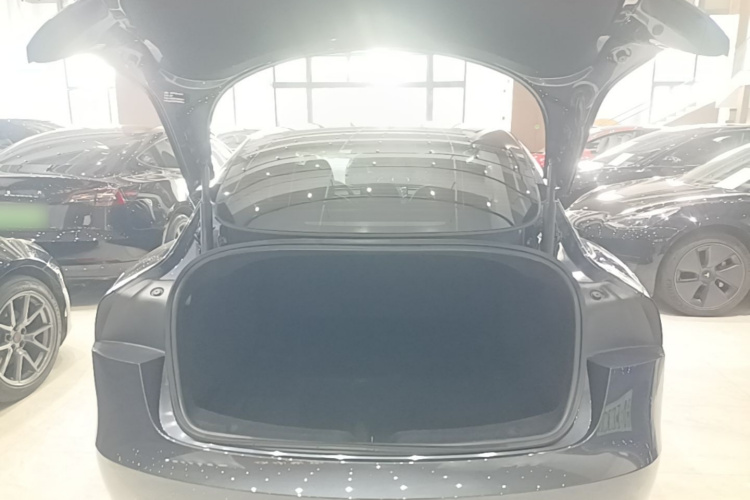 Tesla Model 3 2025 car image #19