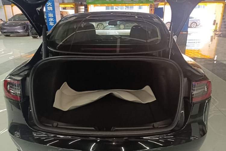 Tesla Model 3 2022 #19 Tesla Model 3 2022 car image #19