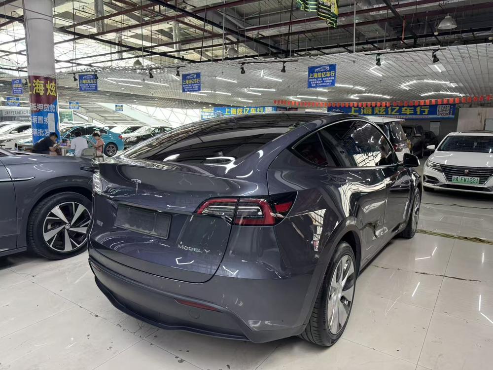 Tesla Model Y 2021 car image #6