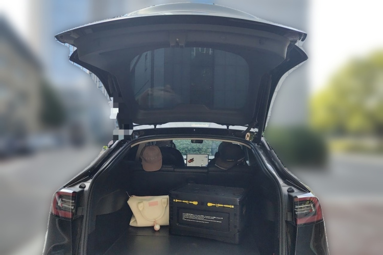 Tesla Model Y 2021 #21 Tesla Model Y 2021 car image #21