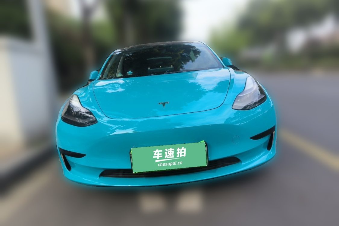Tesla Model 3 2021 car image #5