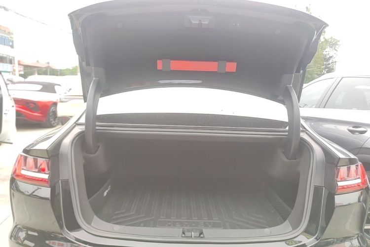 BYD Han 2021 car image #19