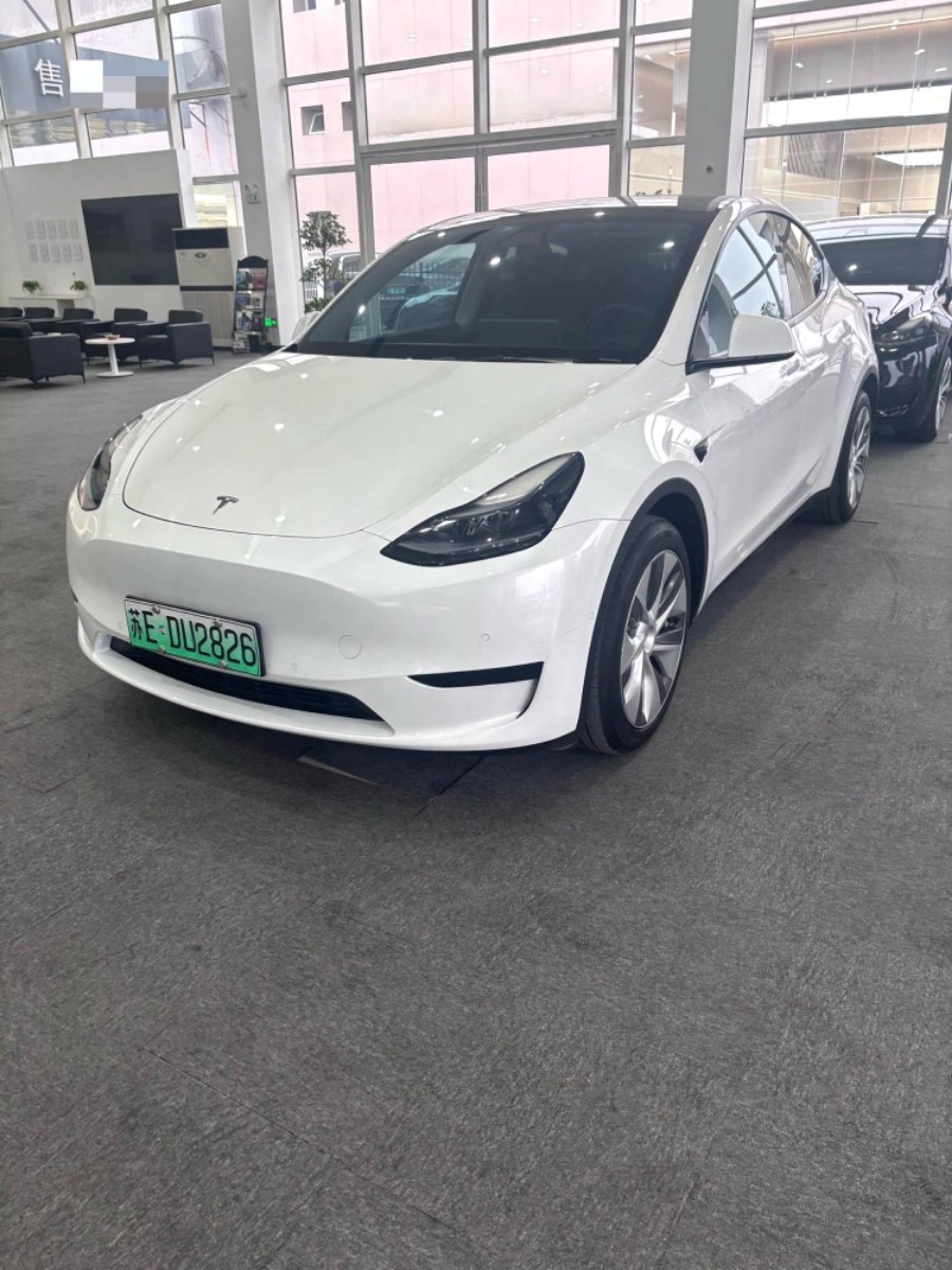 Tesla Model Y 2022 car image #4