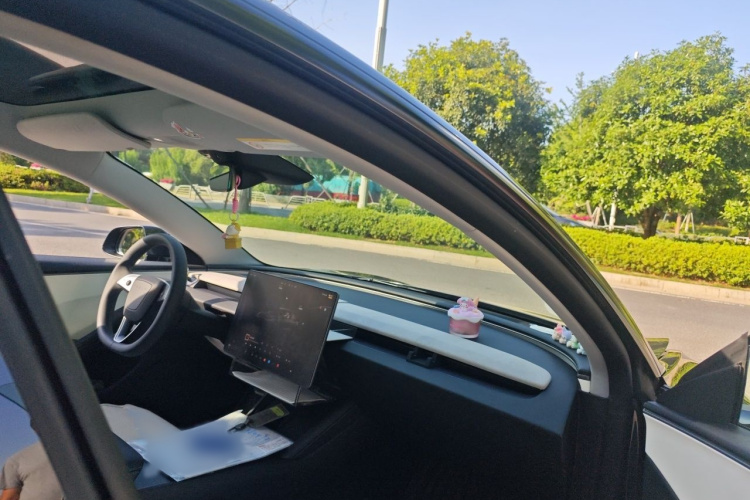 Tesla Model 3 2025 car image #27