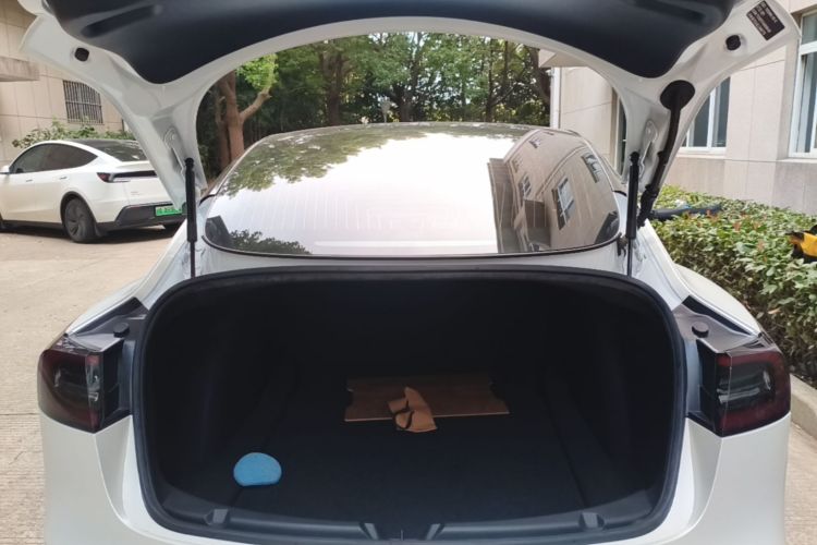 Tesla Model 3 2020 #21 Tesla Model 3 2020 صورة سيارة #21