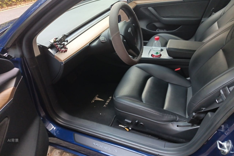 Tesla Model 3 2021 #18 Tesla Model 3 2021 صورة سيارة #18