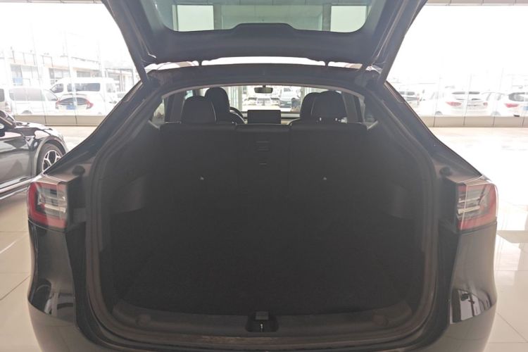 Tesla Model Y 2021 car image #19