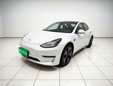 Tesla Model 3 2020 Tesla Model 3 2020 car image