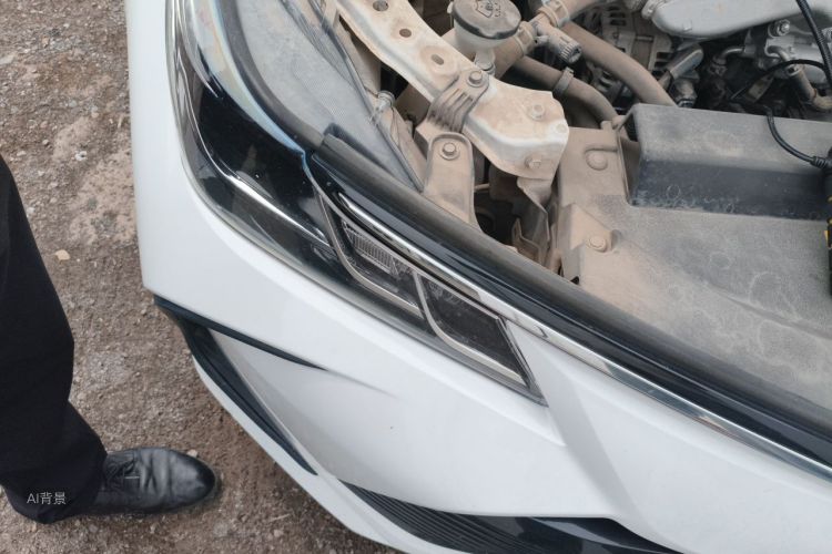 Toyota Corolla 2021 car image #8