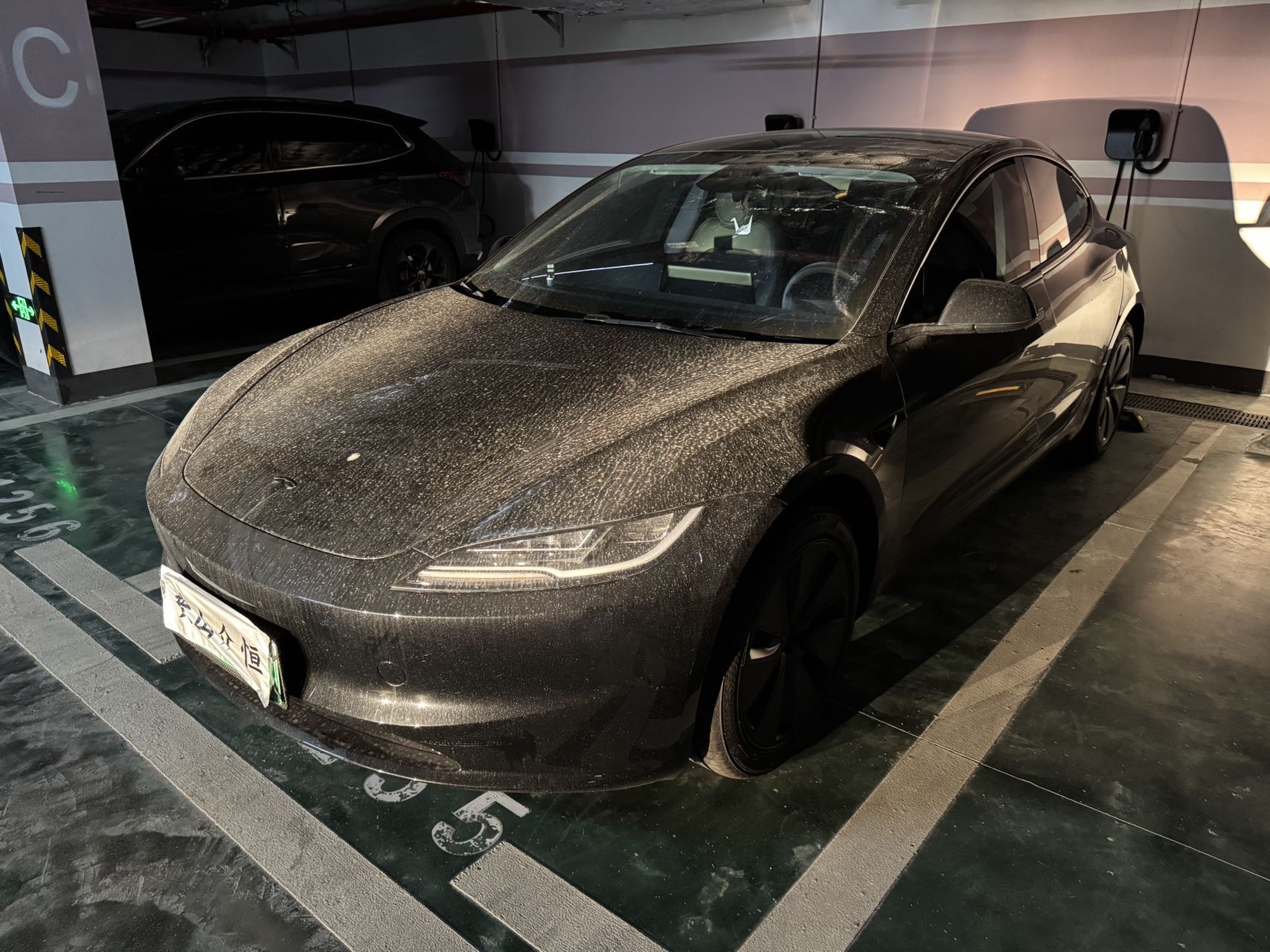 Tesla Model 3 2026 Tesla Model 3 2026 car image
