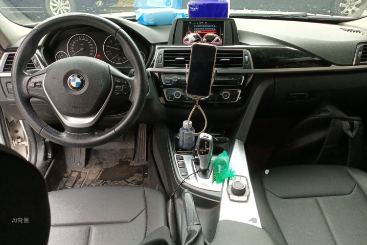 BMW 3 Series 2017 car image #11