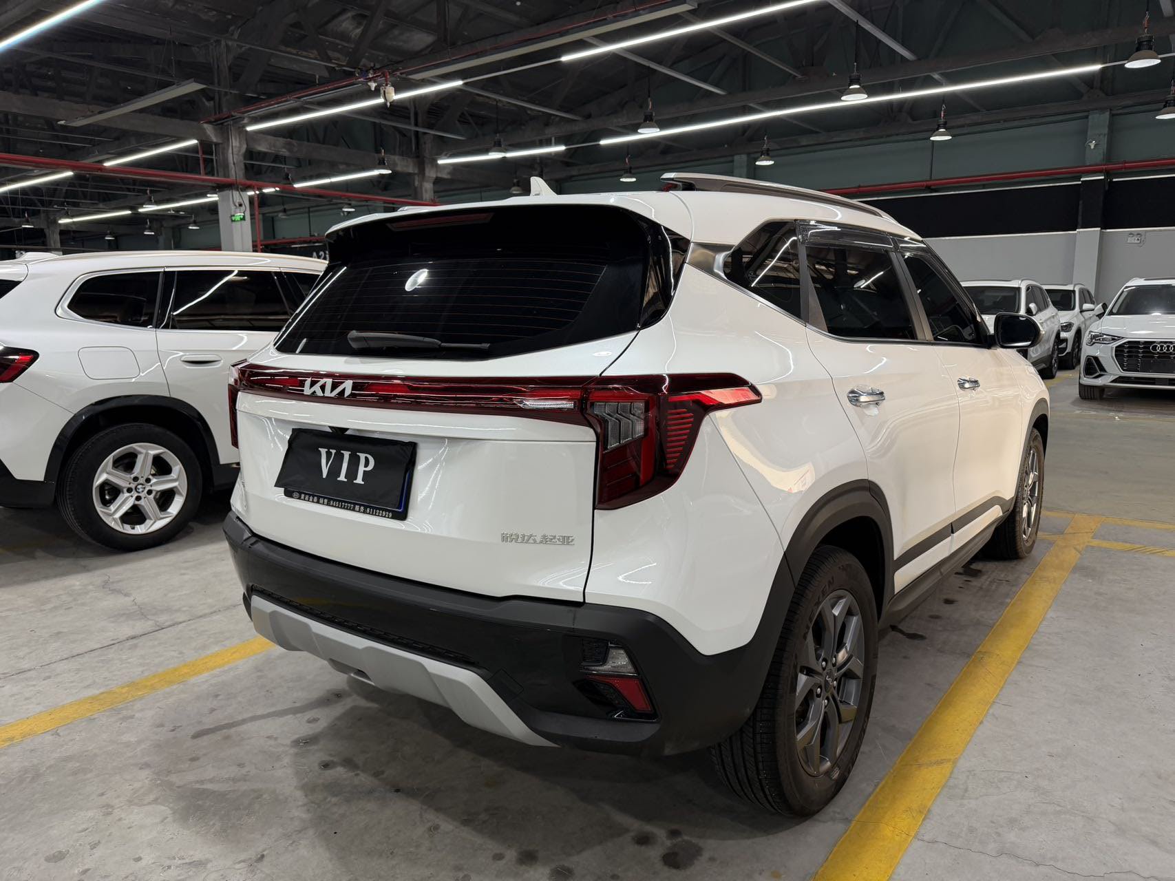 Kia Seltos 2024 immagine di auto #11