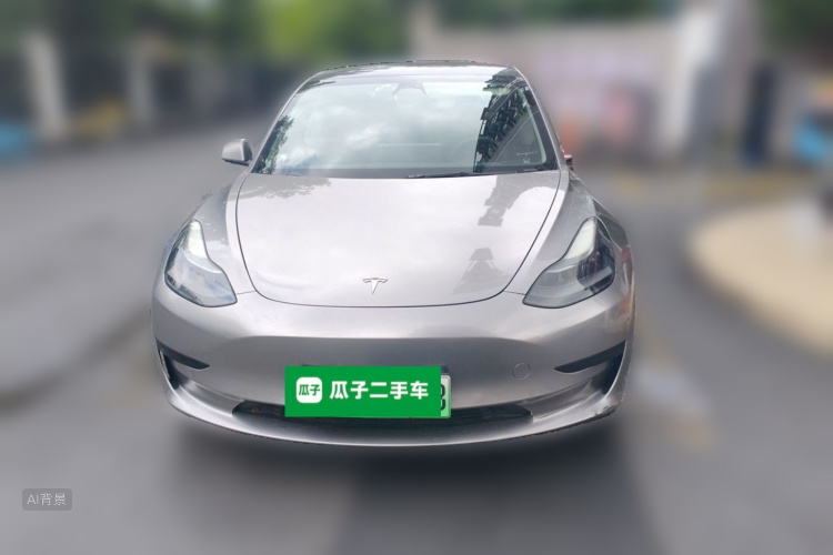 Tesla Model 3 2021 #3 Tesla Model 3 2021 car image #3
