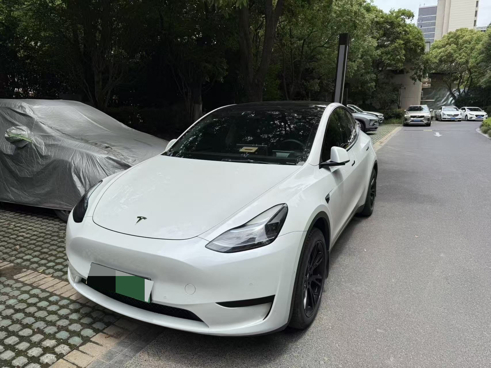 Tesla Model Y 2023 Tesla Model Y 2023 car image