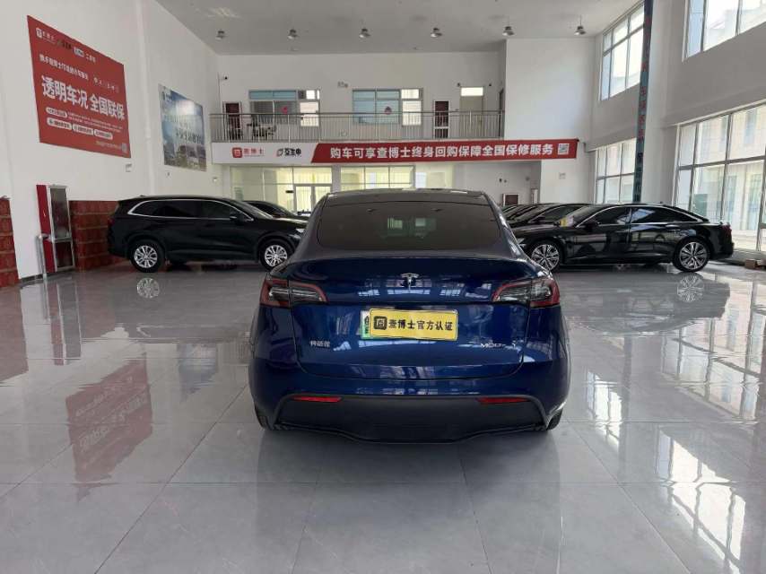 Tesla Model Y 2021 car image #4
