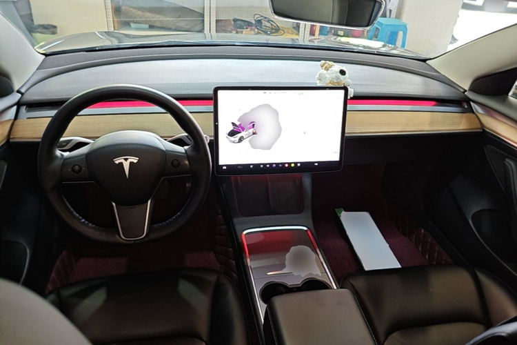 Tesla Model 3 2021 imagem de carro #13