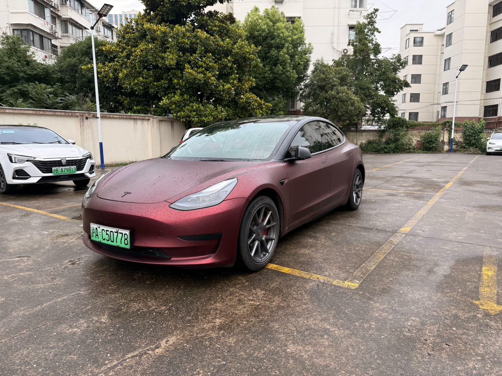 Tesla Model 3 2023 Tesla Model 3 2023 car image