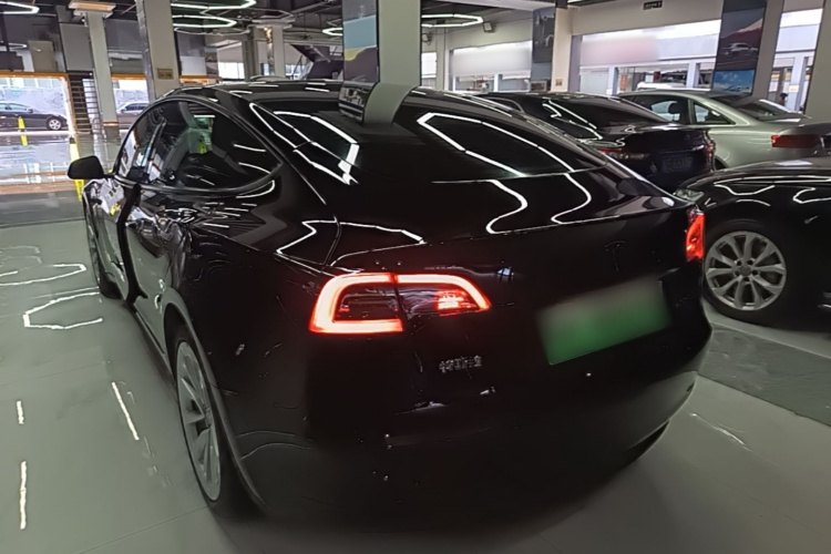Tesla Model 3 2021 car image #7