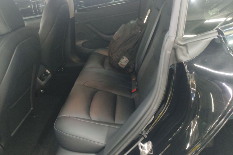 Tesla Model 3 2021 #17 Tesla Model 3 2021 car image #17