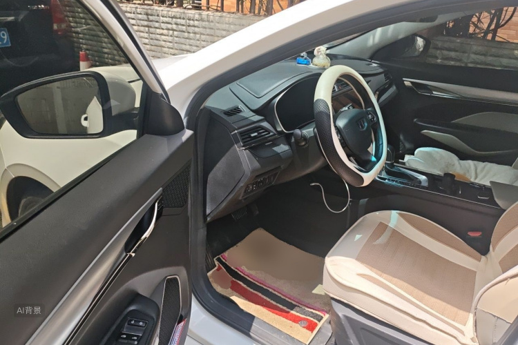 GEELY Binray 2019 #18 GEELY Binray 2019 immagine di auto #18