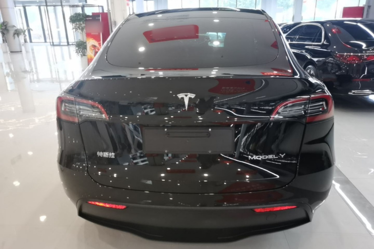Tesla Model Y 2021 car image #6
