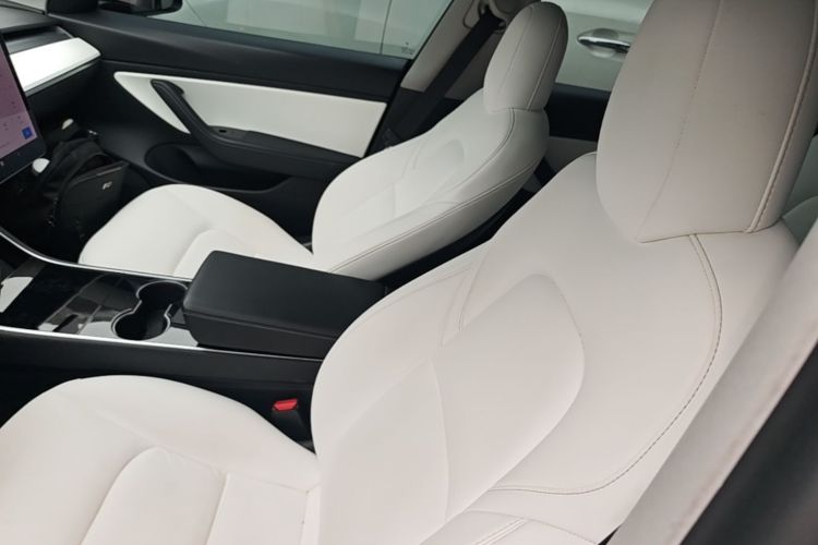 Tesla Model 3 2020 car image #15