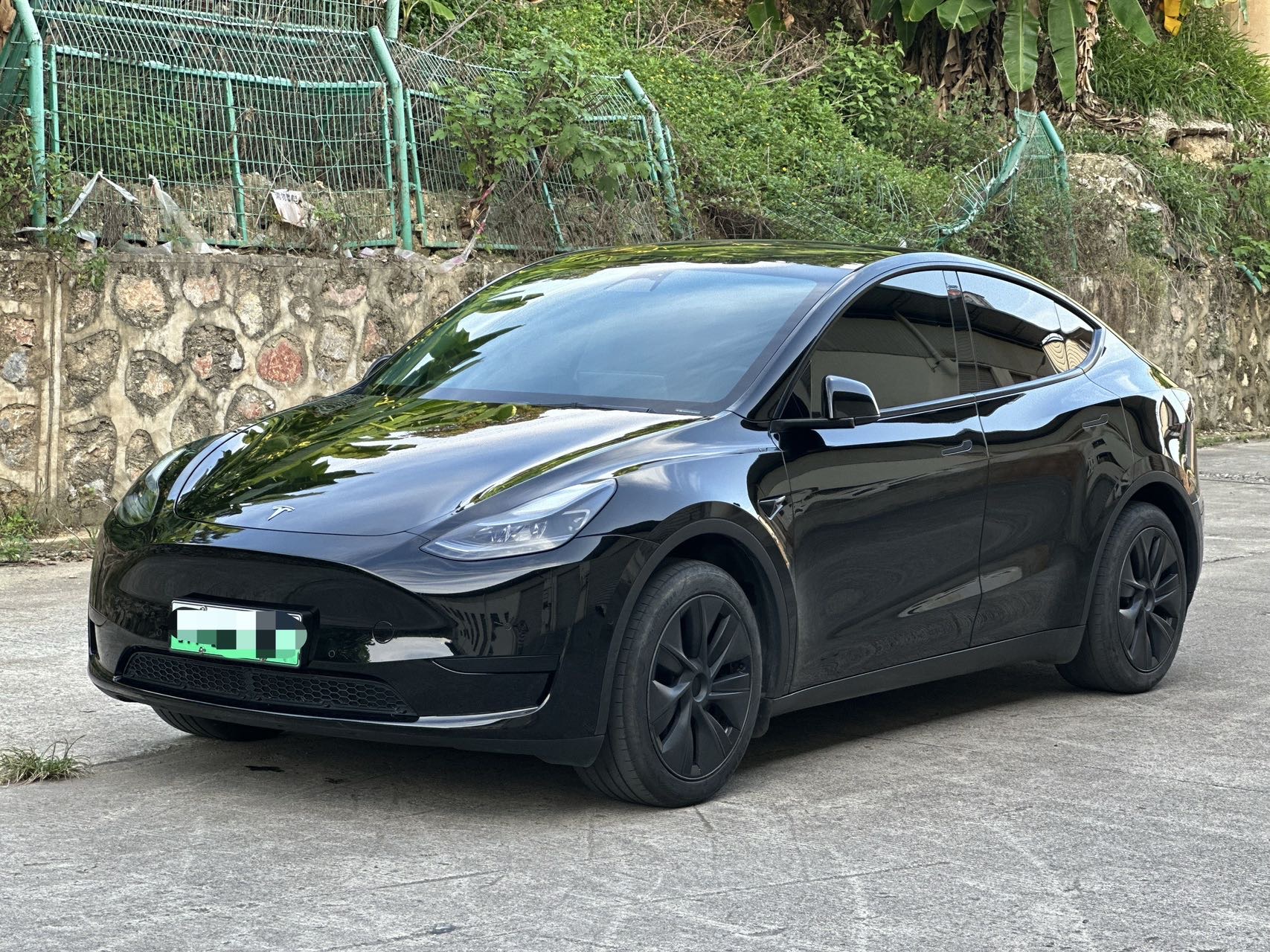 Tesla Model Y 2024 Tesla Model Y 2024 car image
