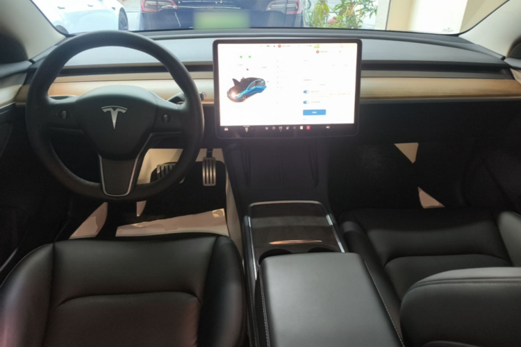 Tesla Model 3 2022 car image #10