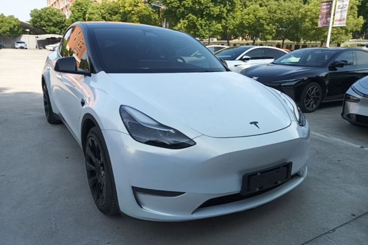 Tesla Model Y 2021 #4 Tesla Model Y 2021 car image #4