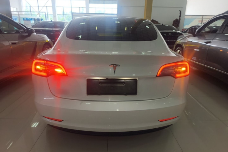 Tesla Model 3 2020 #6 Tesla Model 3 2020 car image #6