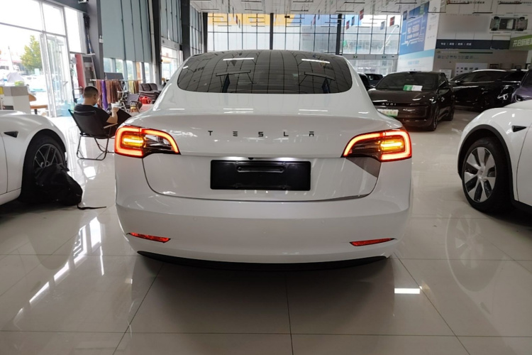 Tesla Model 3 2023 car image #6
