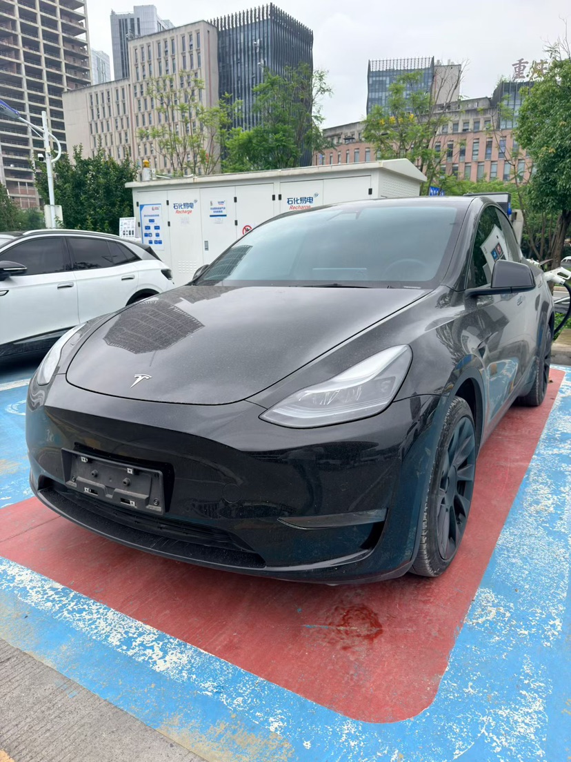 Tesla Model Y 2022 Tesla Model Y 2022 car image