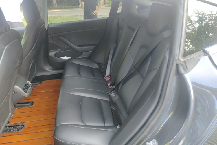 Tesla Model 3 2020 car image #19
