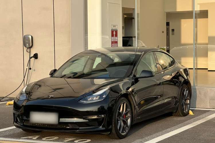 Tesla Model 3 2022 car image #2