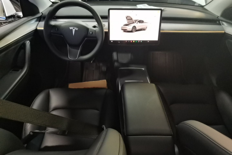 Tesla Model Y 2024 car image #10