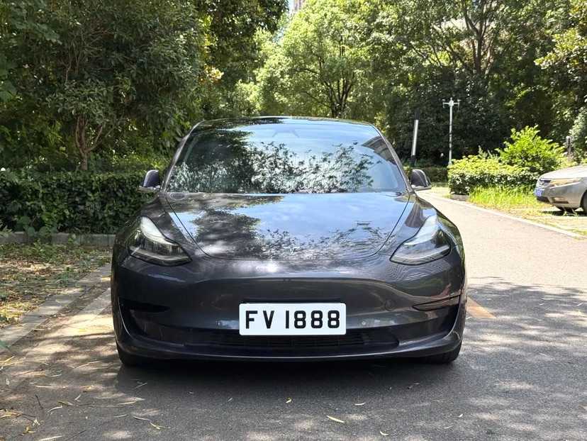 Tesla Model 3 2020 #2 Tesla Model 3 2020 car image #2