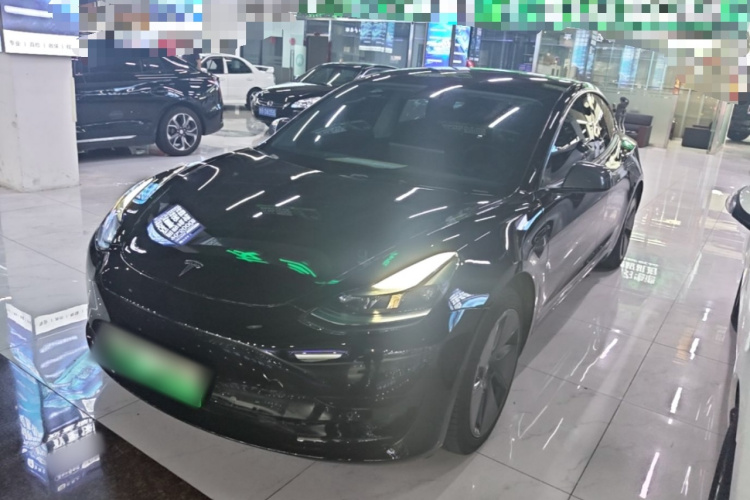 Tesla Model 3 2022 car image #2