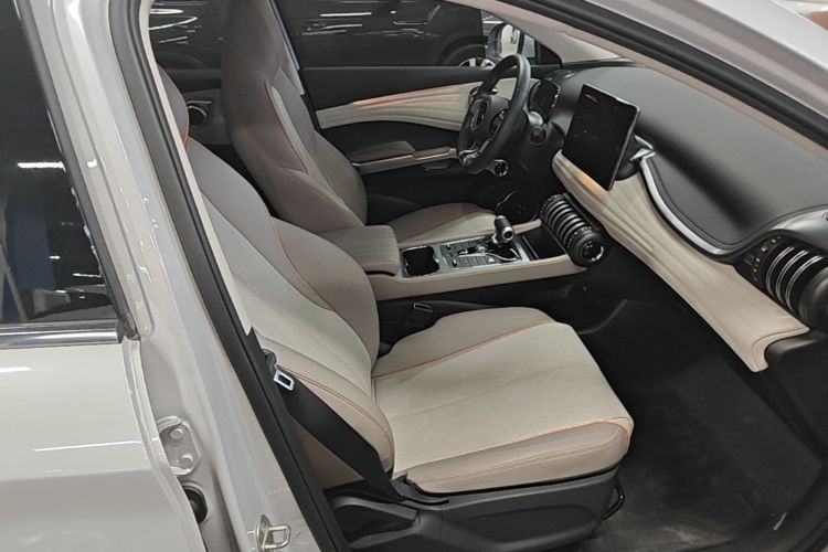 BYD Yuan Plus 2024 car image #24