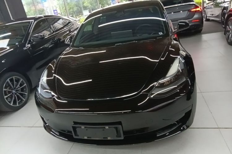 Tesla Model 3 2021 #3 Tesla Model 3 2021 car image #3