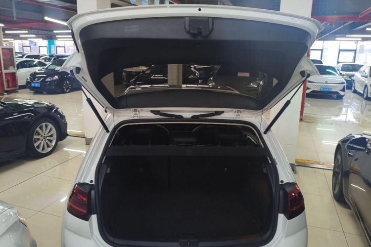 Volkswagen Golf 2019 #19 Volkswagen Golf 2019 car image #19