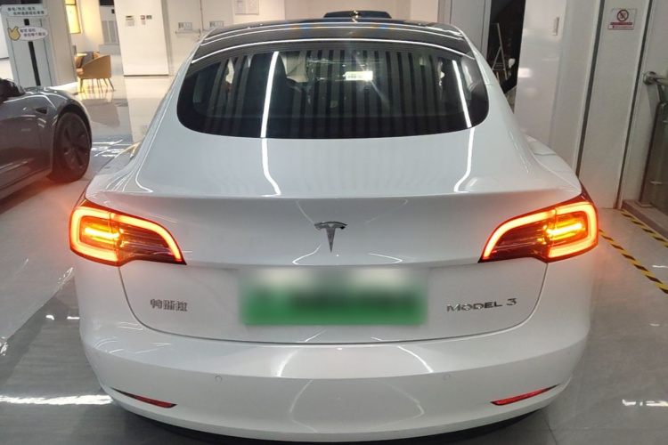 Tesla Model 3 2021 immagine di auto #6