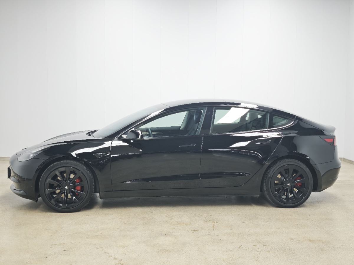 Tesla Model 3 2021 #3 Tesla Model 3 2021 car image #3