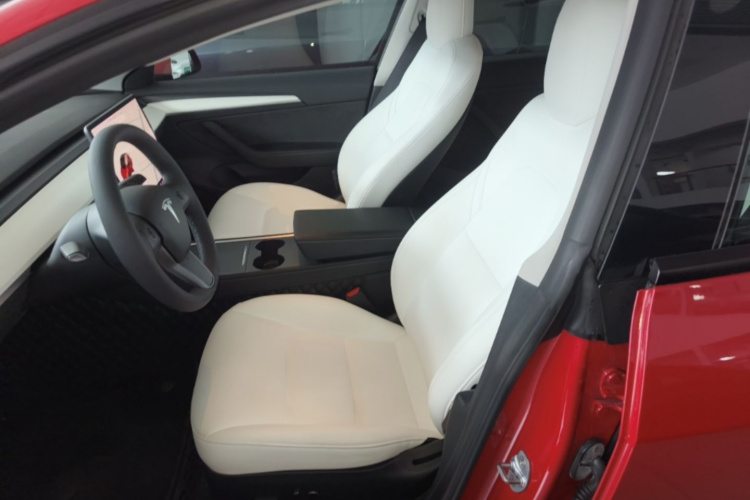 Tesla Model 3 2021 immagine di auto #15