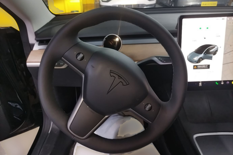 Tesla Model 3 2021 car image #20
